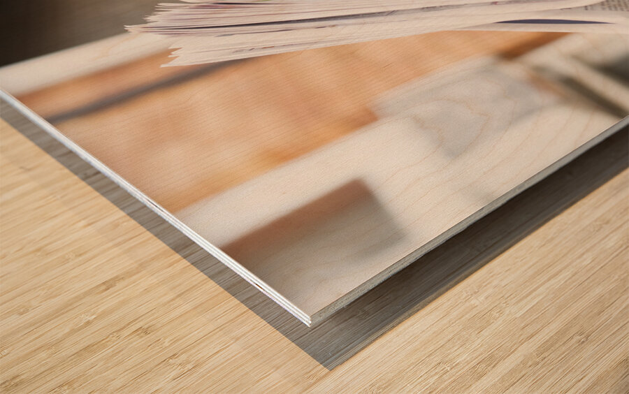 Spruiking Newspaper Boy Wood print