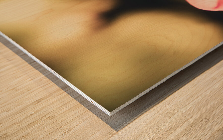 Retro flower Wood print