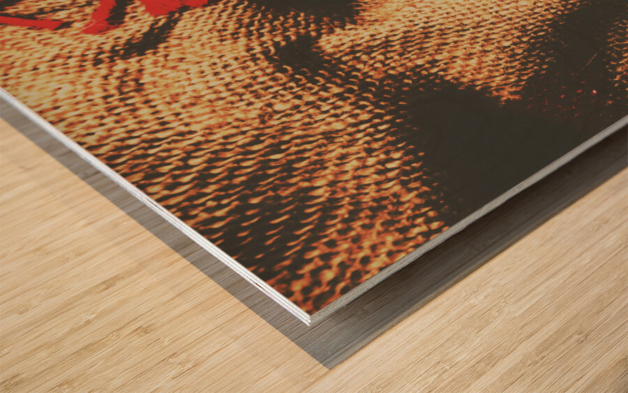 Stitched up madness Wood print