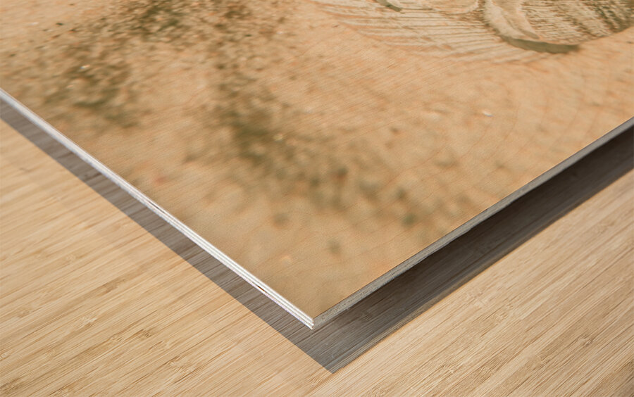 Simply coastal Wood print