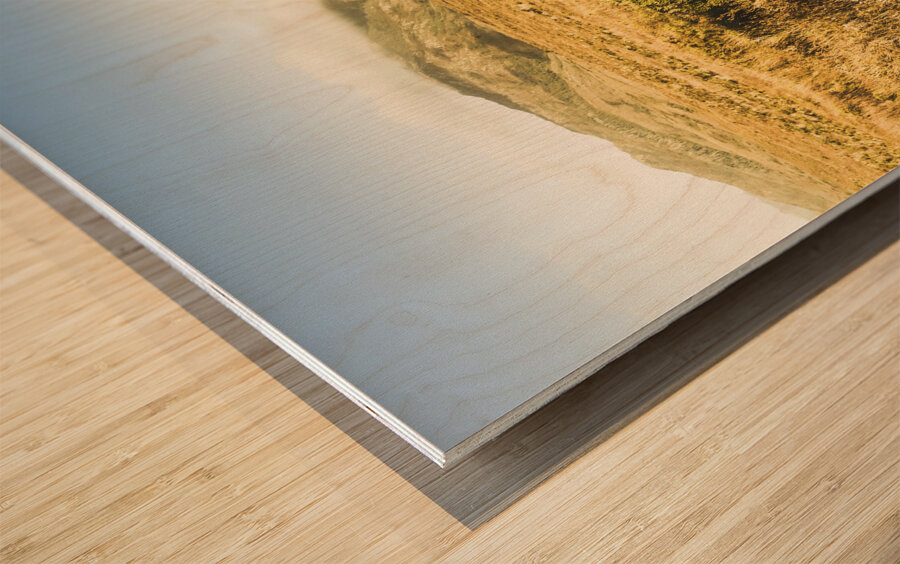 Pristine mountain plains Wood print