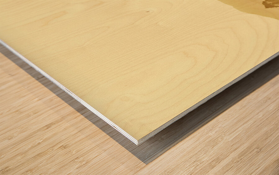 Bushland of western dynamics Wood print