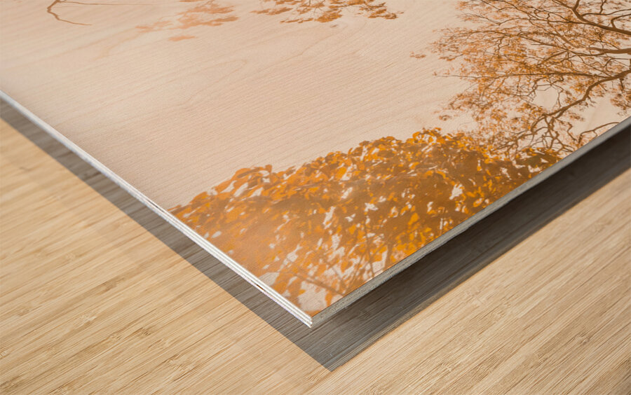 Falling In Wood print