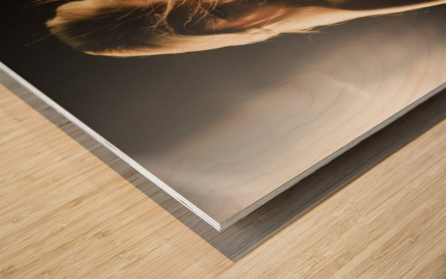 Star super model in fashion limelight Wood print