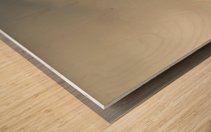 Windy paths to destinations unknown Wood print