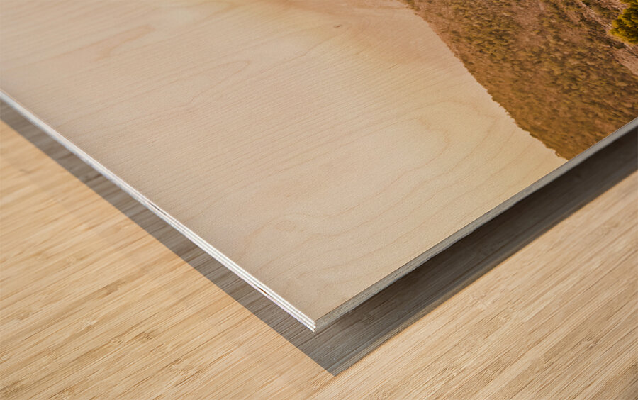 Rugged river waterfall  Wood print