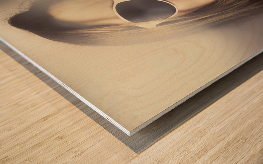 Surprised pinup girl in retro fashion makeup Wood print