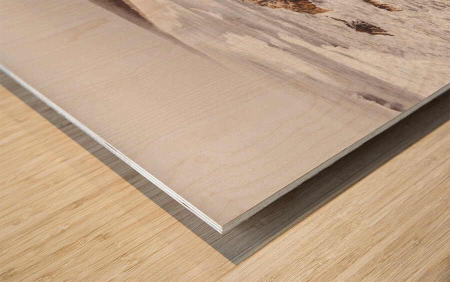 Ocean harmony Wood print