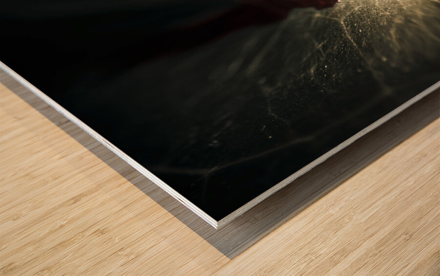 Bloody leaf evidence at a forest crime scene  Wood print