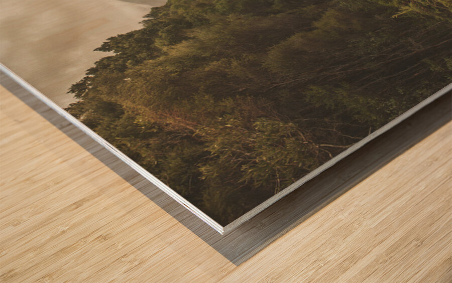 Classic old dirt road landscape in Australia Wood print