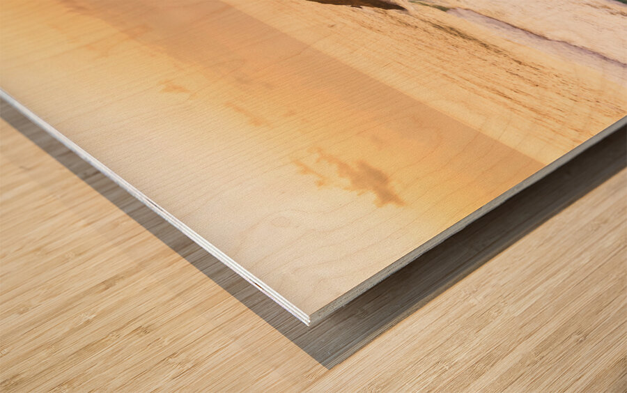 At lights break  Wood print