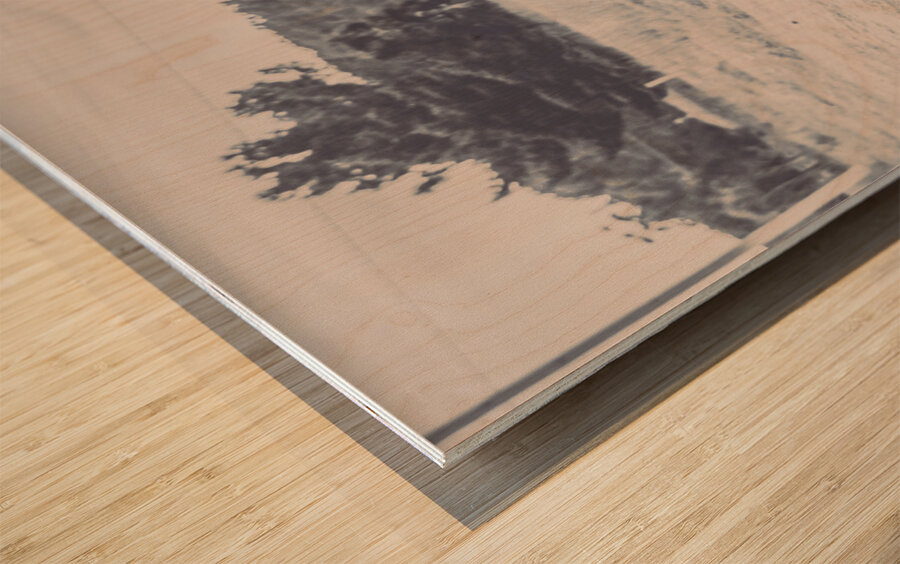 Vintage murders Wood print