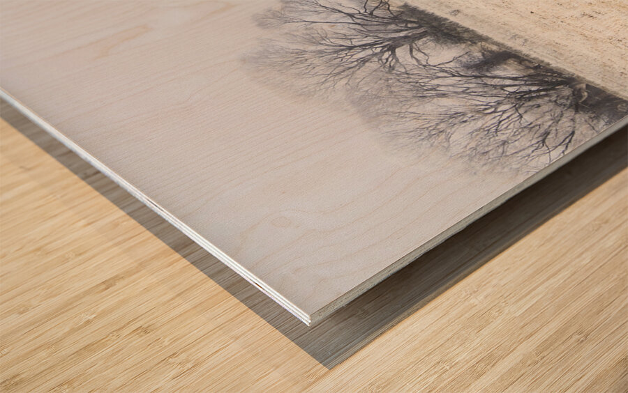 Fingal winter farmyard Wood print