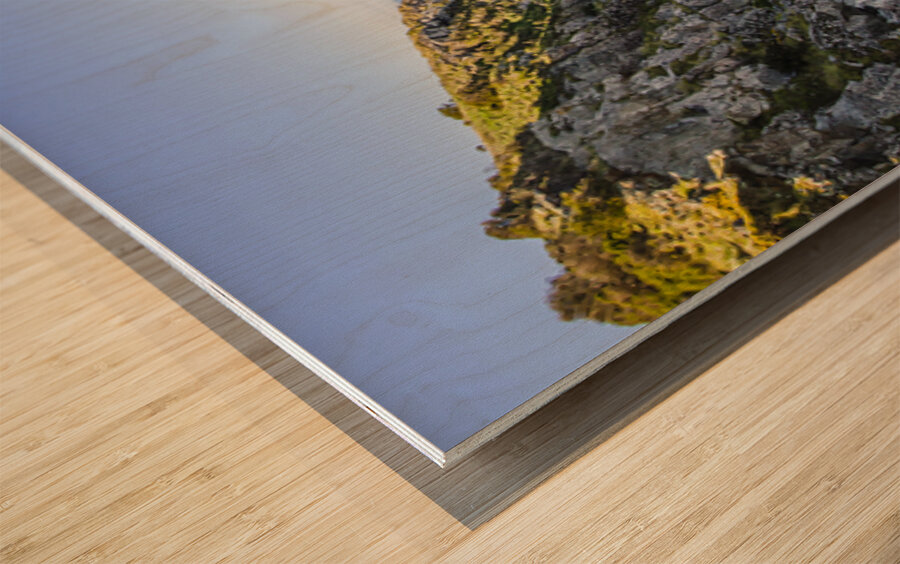 Outdoor ocean marina Wood print