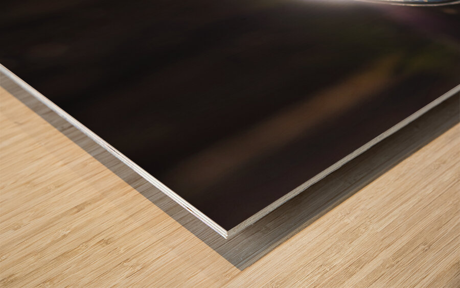 Conflict Of Battle Wood print