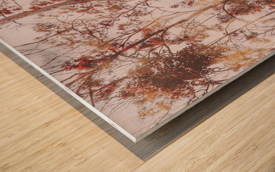 Backcountry colour Wood print