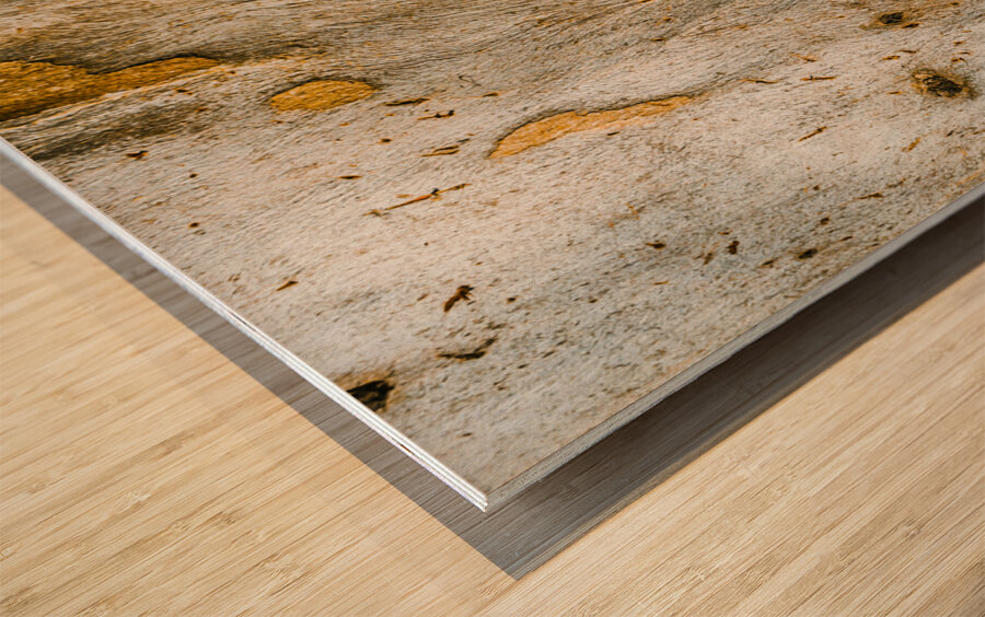 From the woodland Wood print