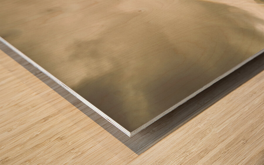 Raindrops in rainbows Wood print