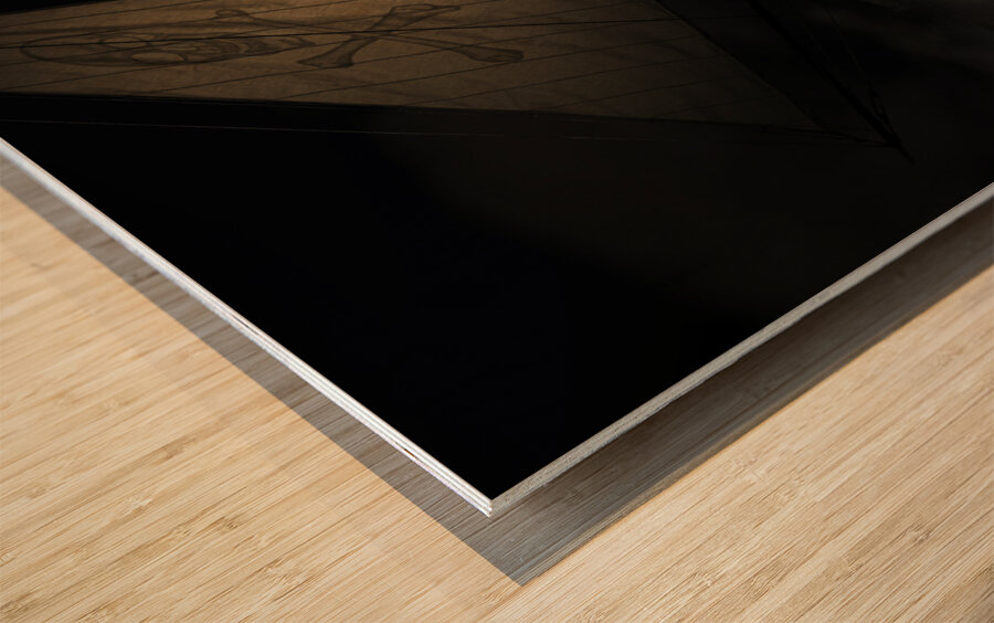 Pirate Ship Wood print