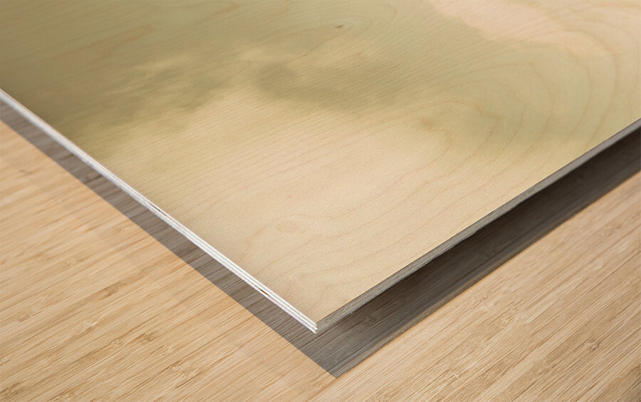 Rolling rural hills of Zeehan Wood print