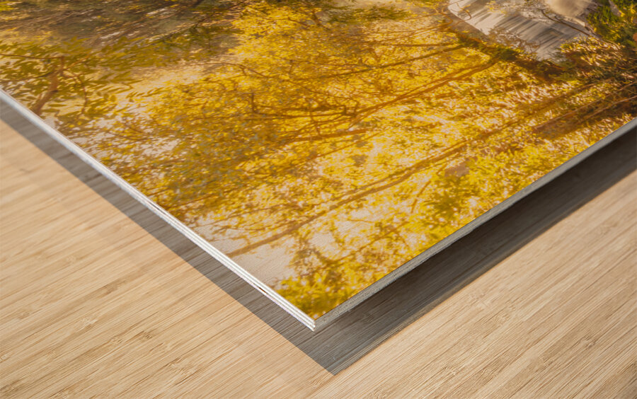 Tranquil Tasmania Wood print