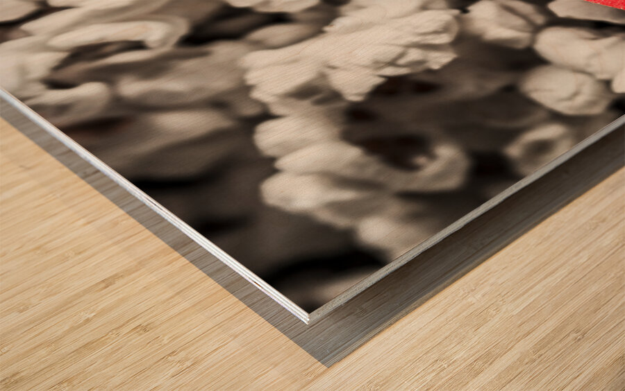 Event ticket lying on pile of popcorn Wood print