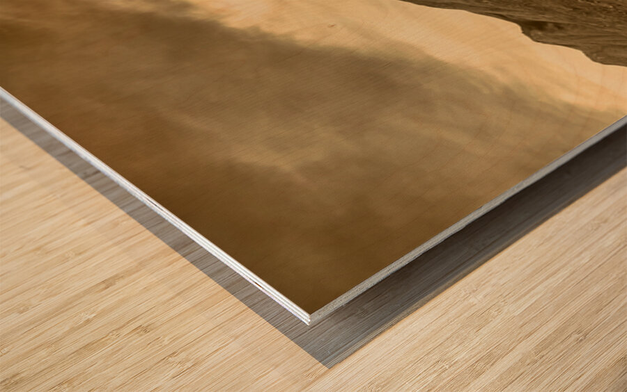 Historic Mountain Landscape In Sepia Tone Wood print