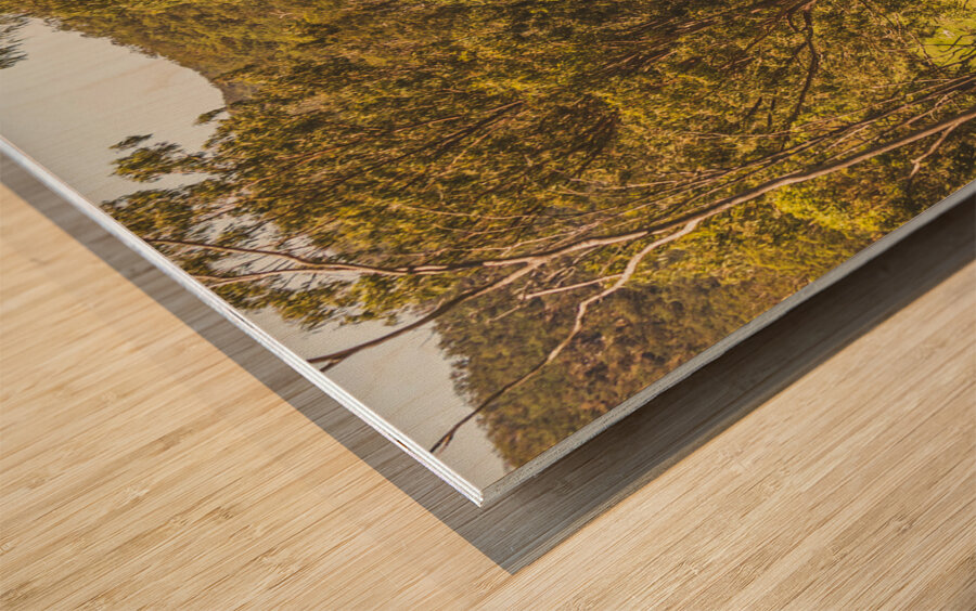 Lush country adventures Wood print