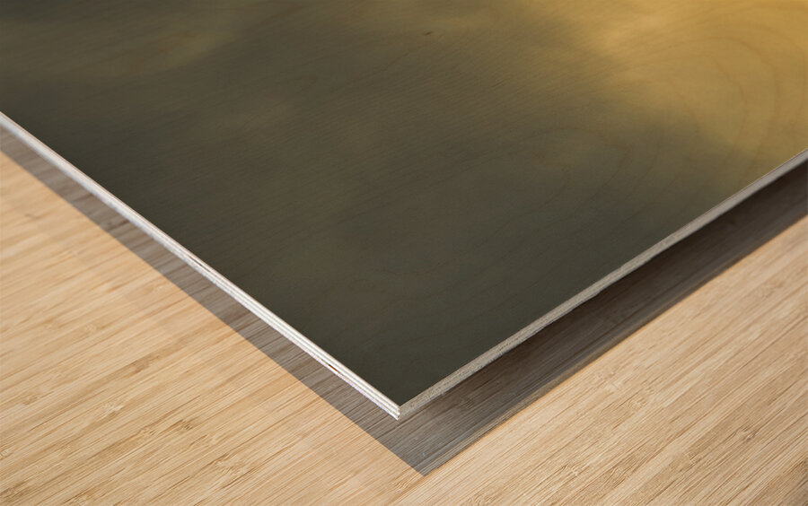 Overcast sky above herd of cows on pasture Wood print