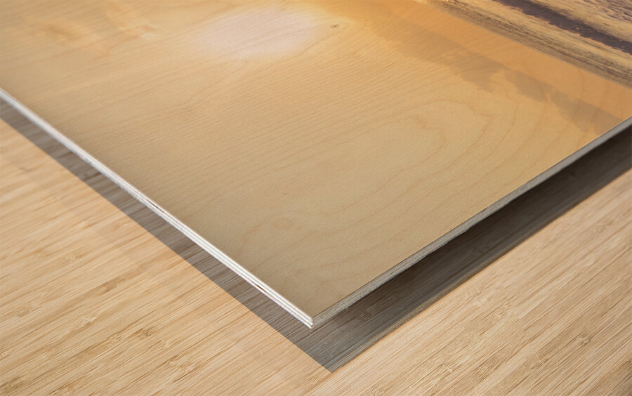 Ocean rock Wood print