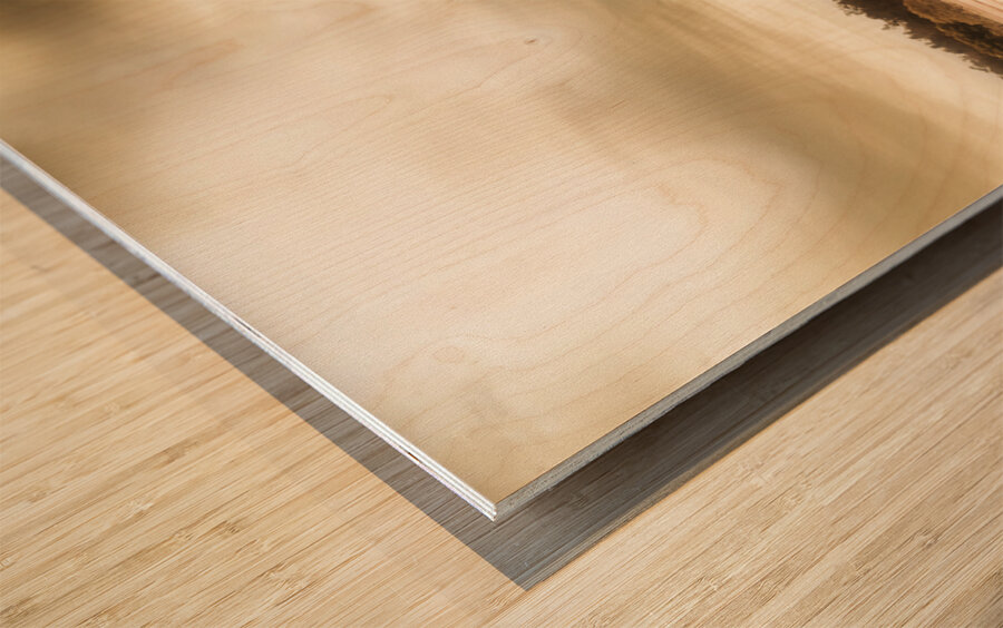 Turn Loose The Doves Wood print