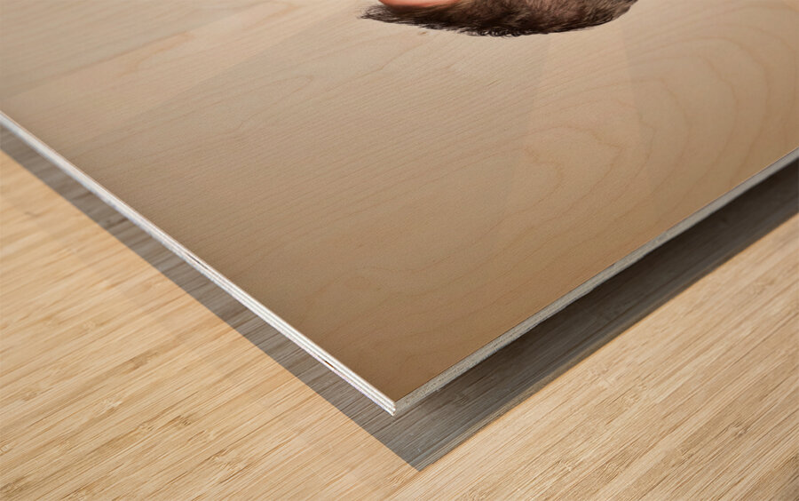 Business man drinking a quick coffee on the go Wood print