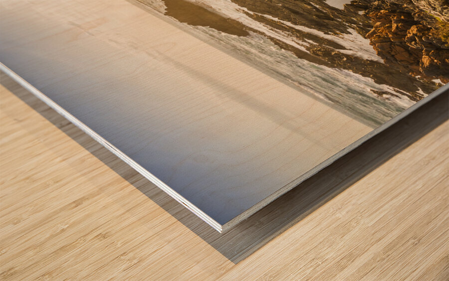 Shoreline Sunshine Wood print