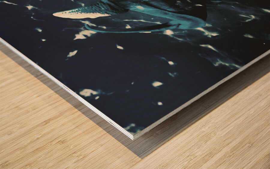 In tension seas Wood print