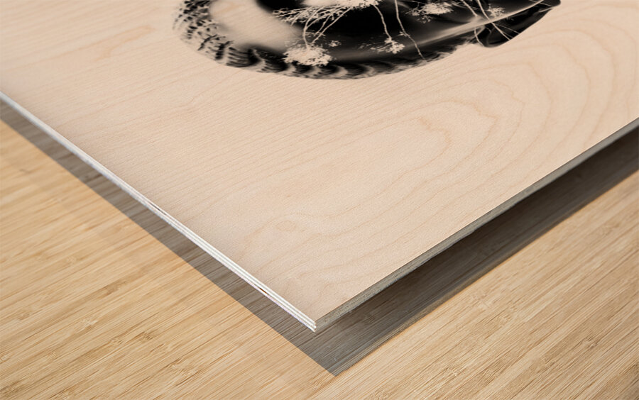 To plant a seed Wood print