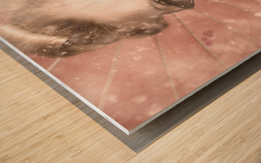 Scene from dreams Wood print