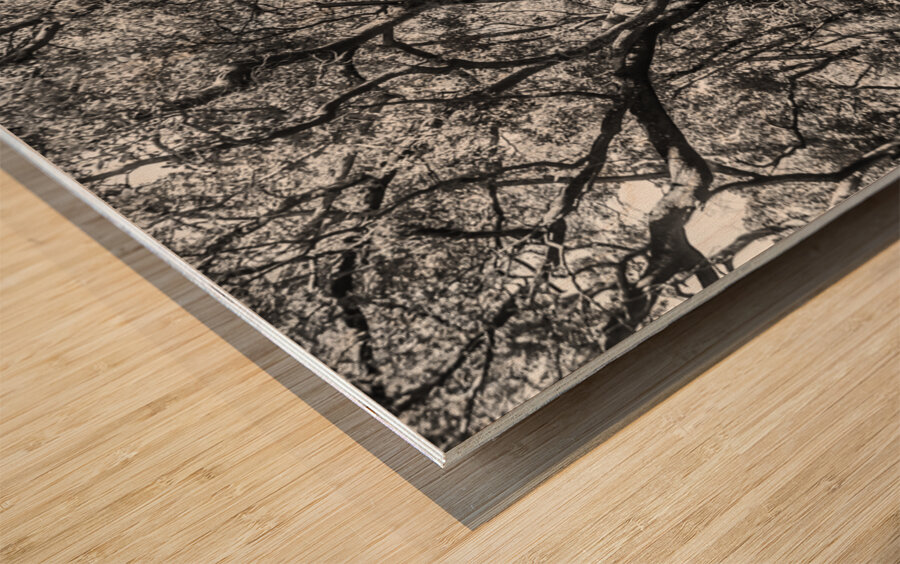 Wild grey Wood print