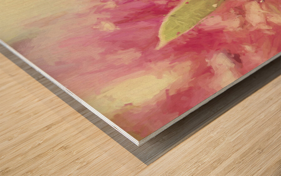 Bottle Brush flower species digital painting Wood print