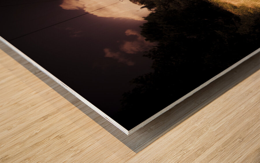 Train Tour Of Darkness Wood print