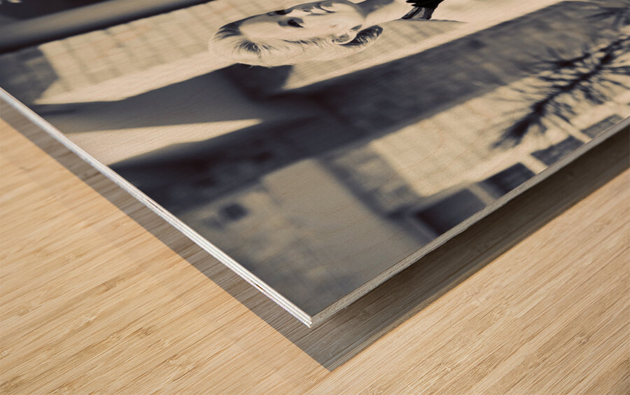 Gardening In Style Wood print