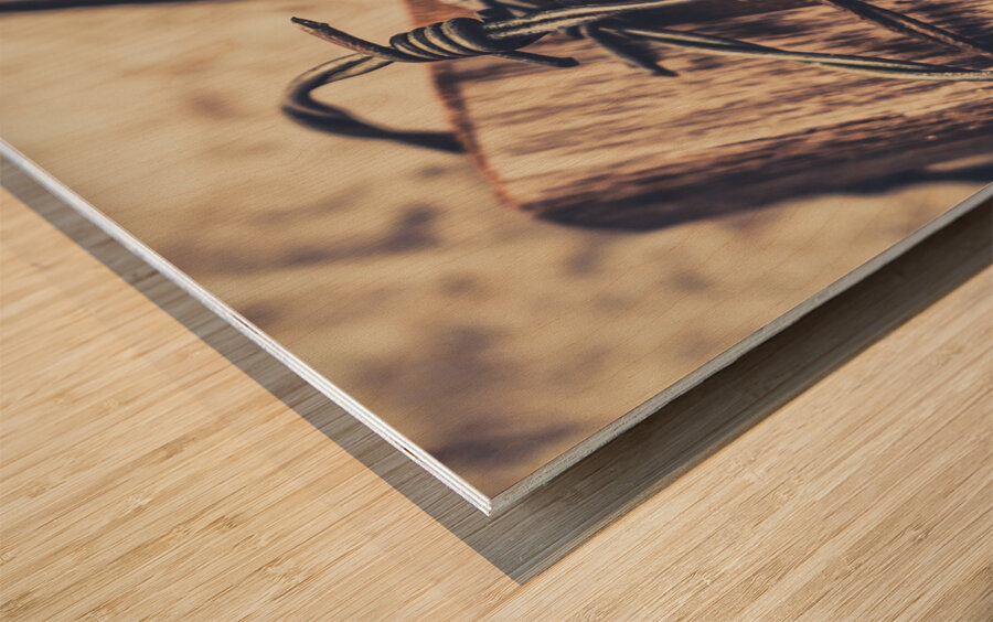 Control and confidentiality Wood print