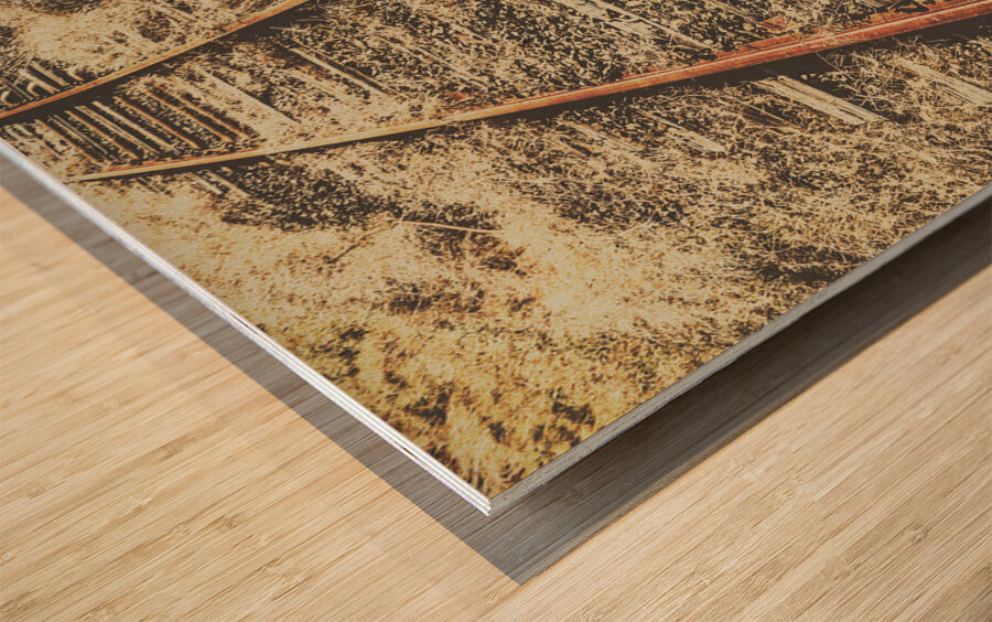 Western railway of routes forgotten Wood print