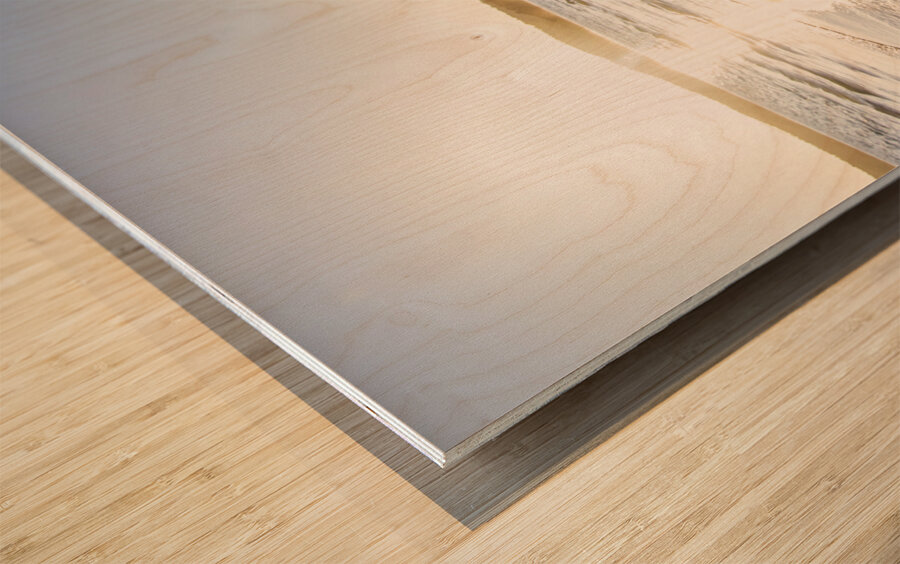 Premium ocean landscape Wood print