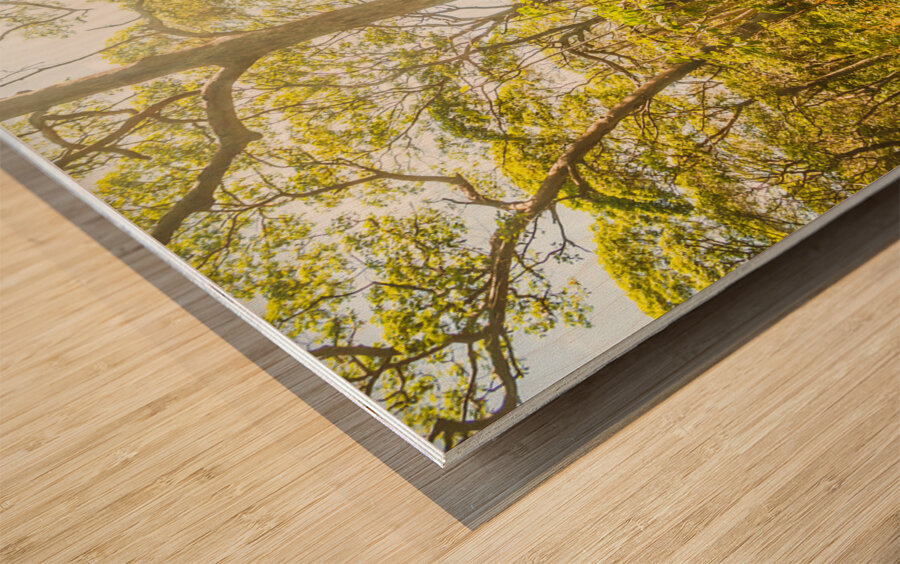 Wondersome Wood print