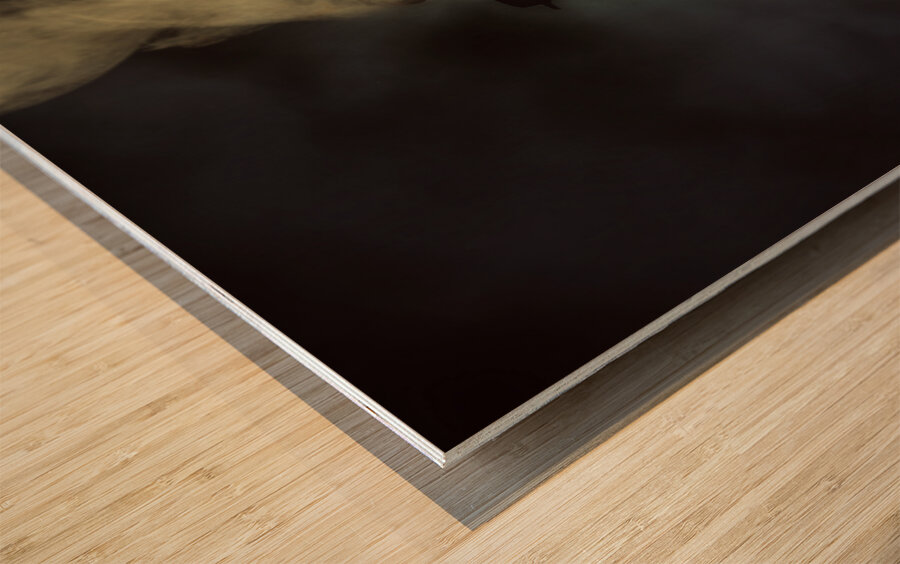 Crazy speed car driver Wood print