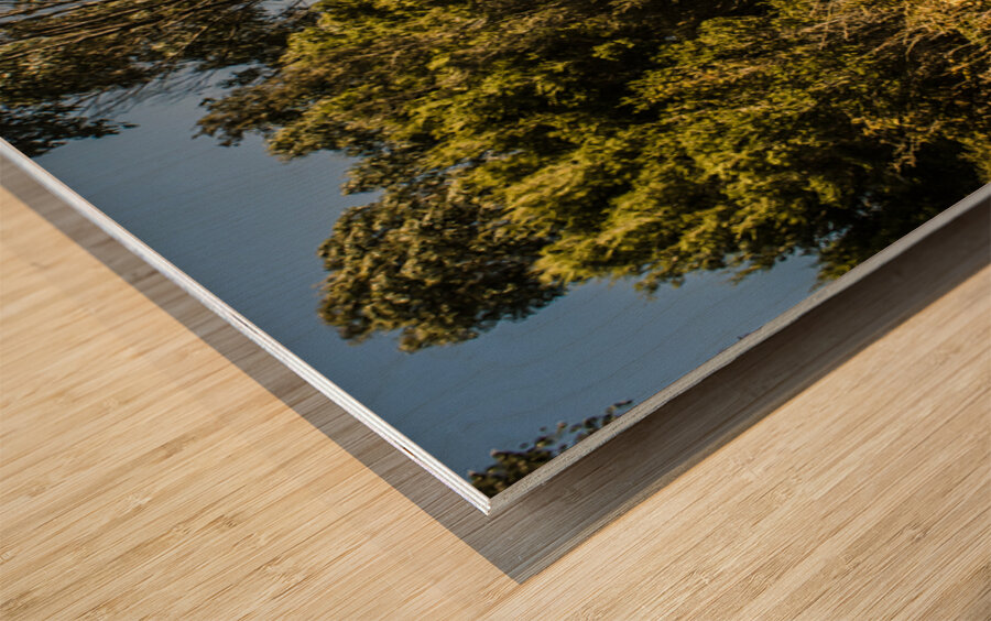 Outback country road panorama Wood print