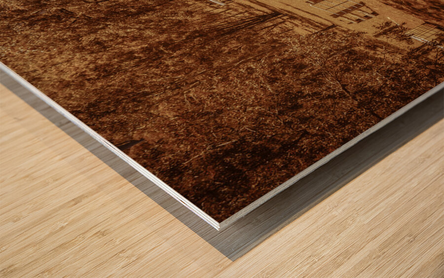 Mount Perry country Wood print