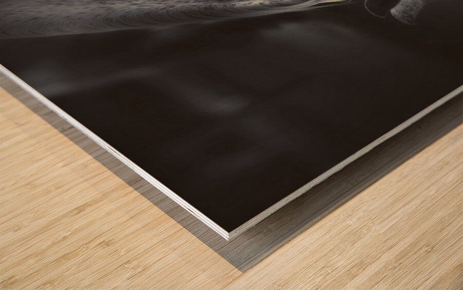 The midnight stallion Wood print