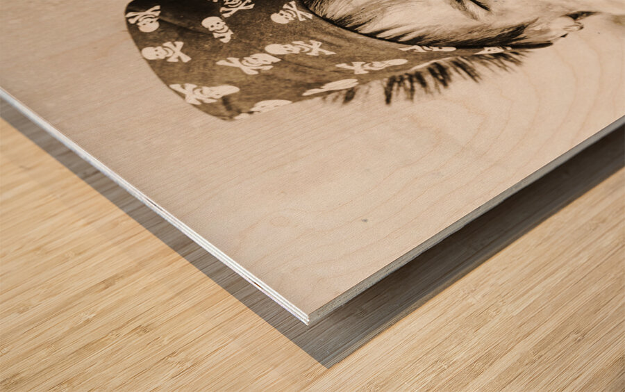 Vintage Explorer Wood print