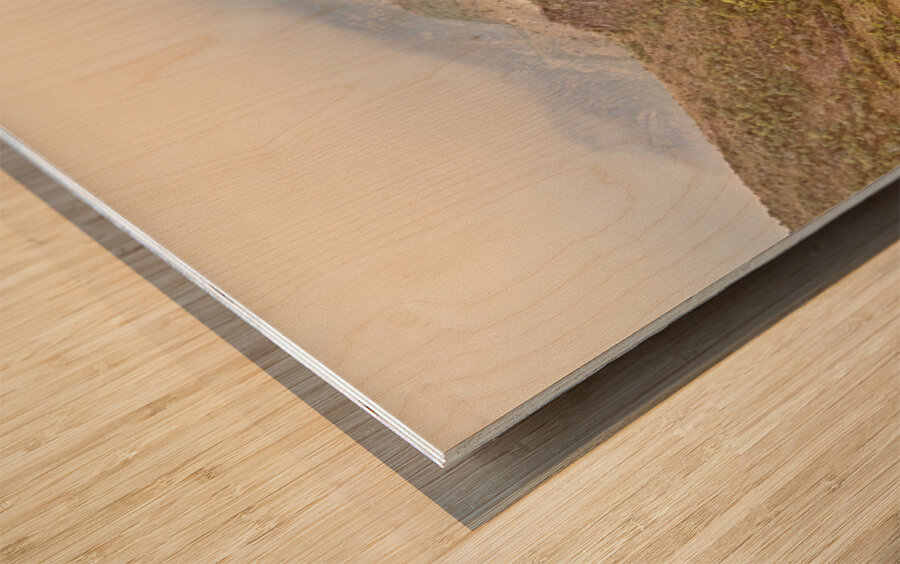 Dreamy mountain expanse Wood print